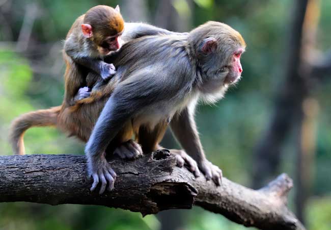 stark klebende Aufkleber